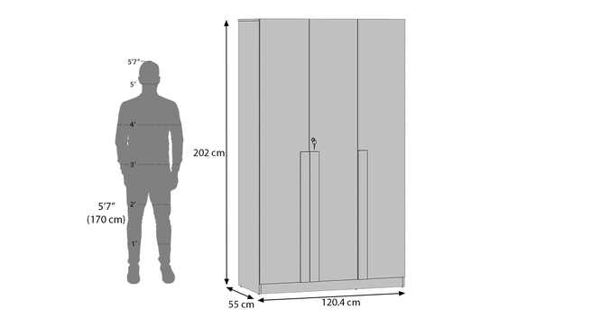 Rodrigues Engineered Wood 3 Door Wardrobe Without Mirror in Sheesham Finish